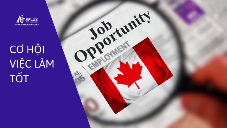 Cơ hội việc làm sau du học Canada đại học