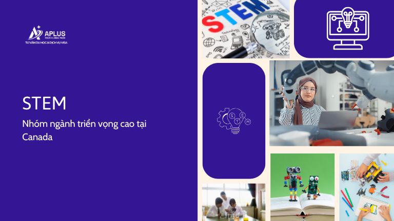 Nhóm ngành STEM du học Canada đại học
